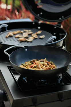 Outdoorchef DAVOS 570 G -Webe Grill Geschaft 18 128 67MA Davos 570 G mit Cooking Zone Kit Plus BBQ WOK