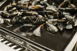 NAPOLEON Gusseiserne Grillplatte Plancha (56090) -Webe Grill Geschaft NAPOLEON Plancha Porzellan Emailliert 5