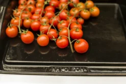 NAPOLEON Gusseiserne Grillplatte Plancha (56090) -Webe Grill Geschaft NAPOLEON Plancha Porzellan Emailliert 6