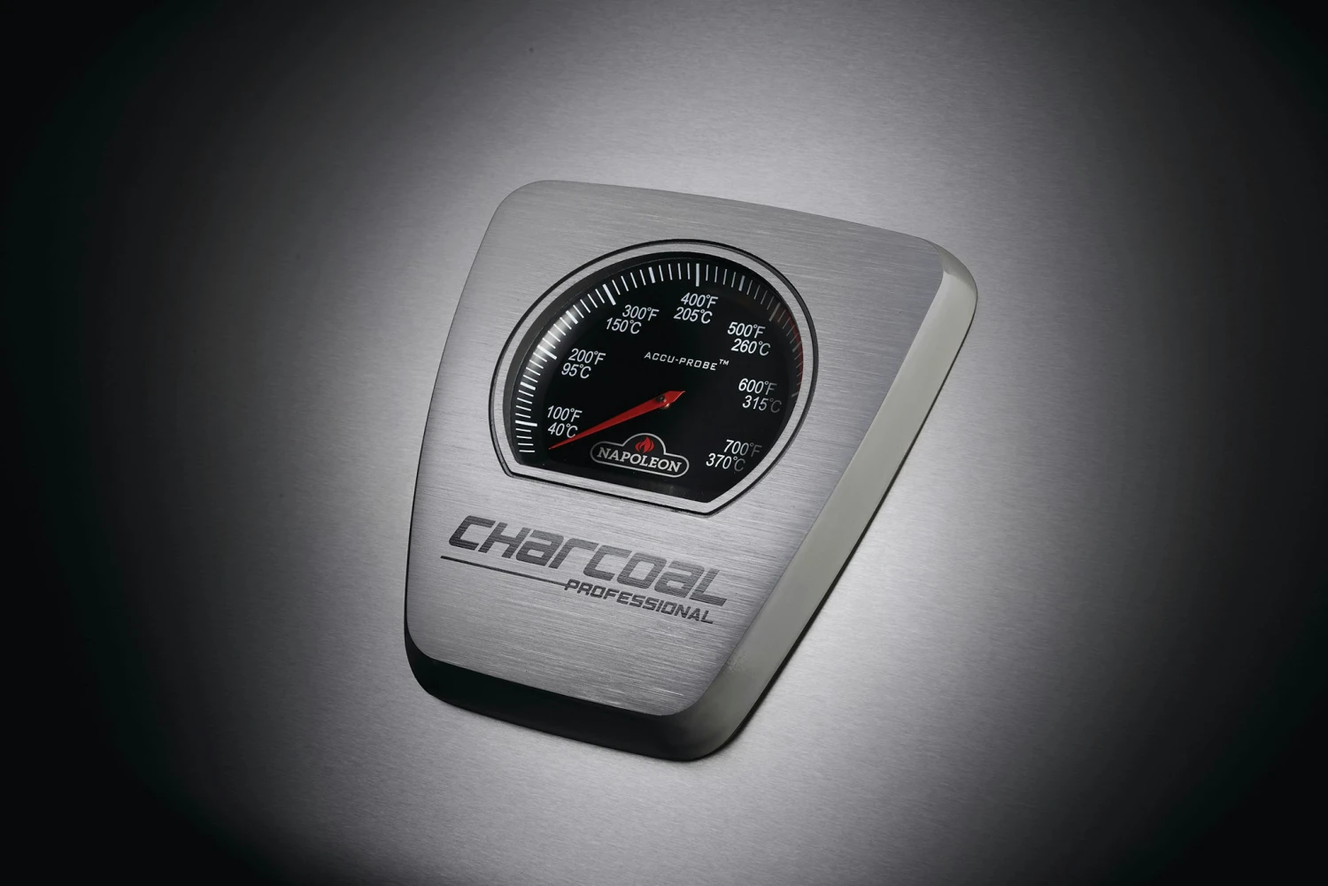 NAPOLEON Charcoal Professional, Edelstahl 9 NAPOLEON Charcoal Professional, Edelstahl – Bild 9