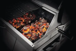 NAPOLEON Charcoal Professional, Edelstahl 22 NAPOLEON Charcoal Professional, Edelstahl -Webe Grill Geschaft PRO605 charcoal inuse