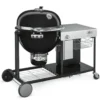 Weber Summit Charcoal Grill Center