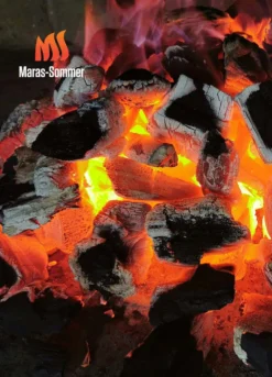 Big Green Egg Woody Holzkohle Aus Buchenholz 10 Kg -Webe Grill Geschaft bge 0724943369085 Buchenholzkohle 2048x2048