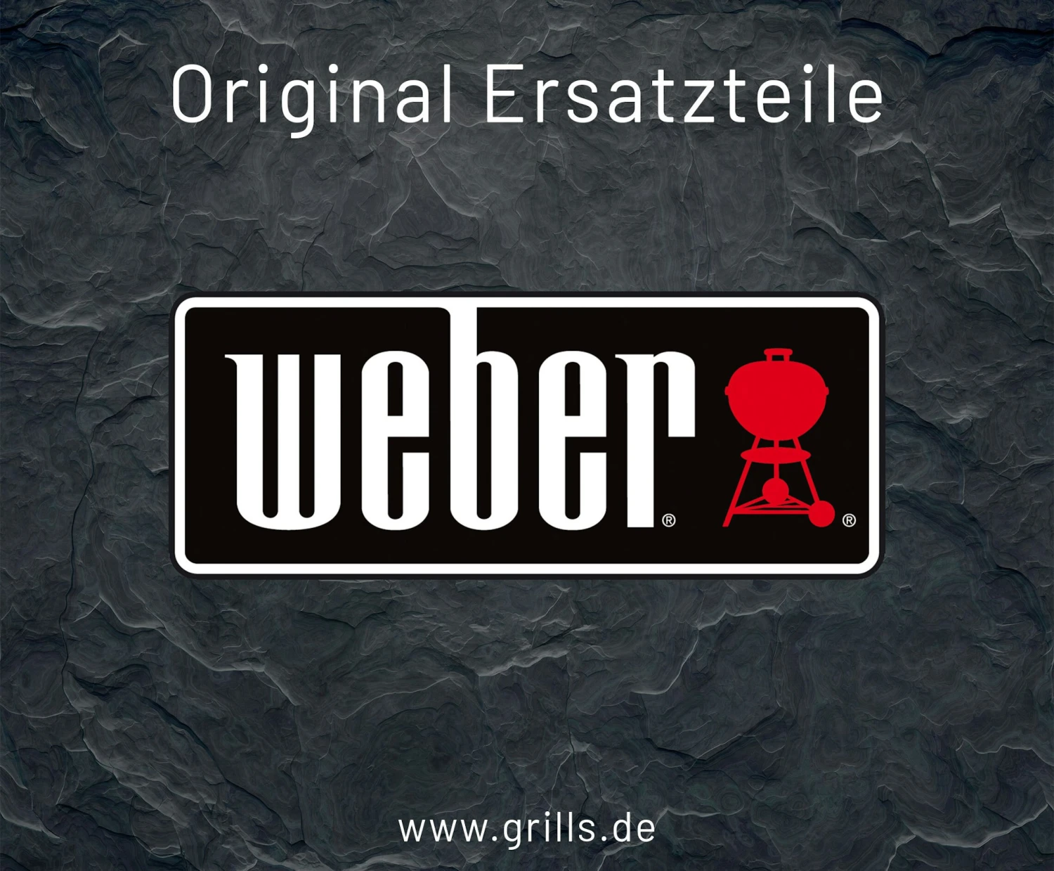 Weber Grillrost Porzellanemailliert Spirit 300 Ab 2009 (65906) 1 Weber Grillrost Porzellanemailliert Spirit 300 Ab 2009 (65906)